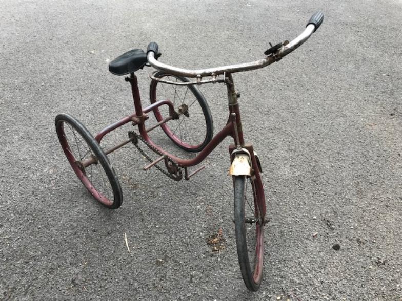 1950's triang tricycle